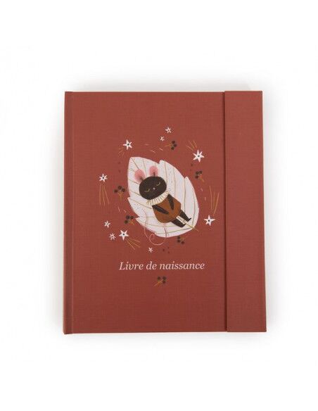 livre-de-naissance-apres-la-pluie-moulin-roty